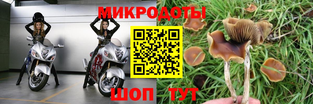 Чита  Галлюциногенные грибы GOLDEN TEACHER  Вход с VPN 